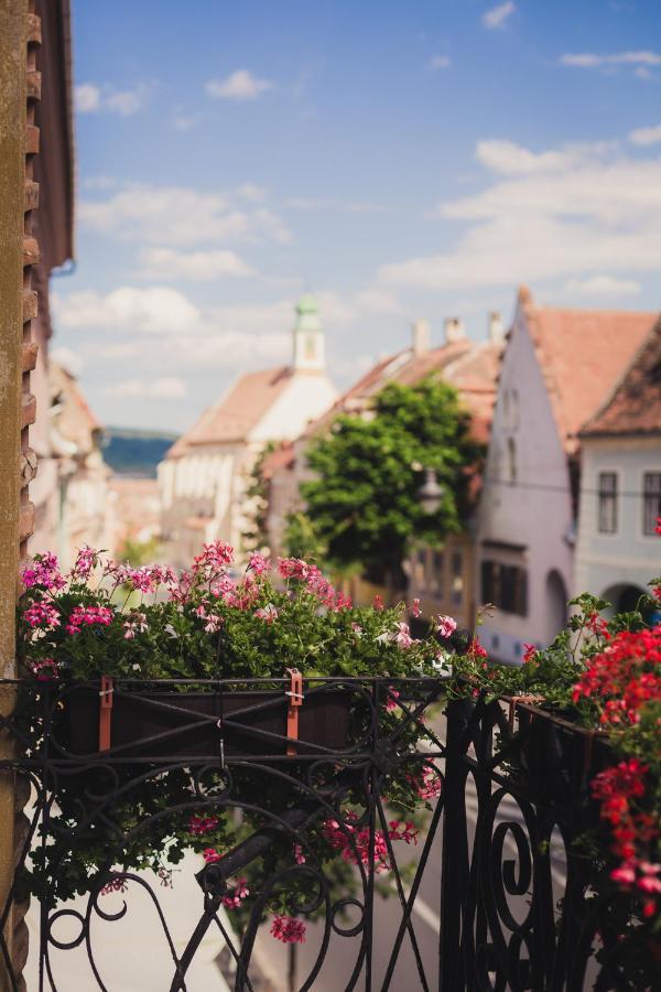 St Andrew's Appartamento Sibiu